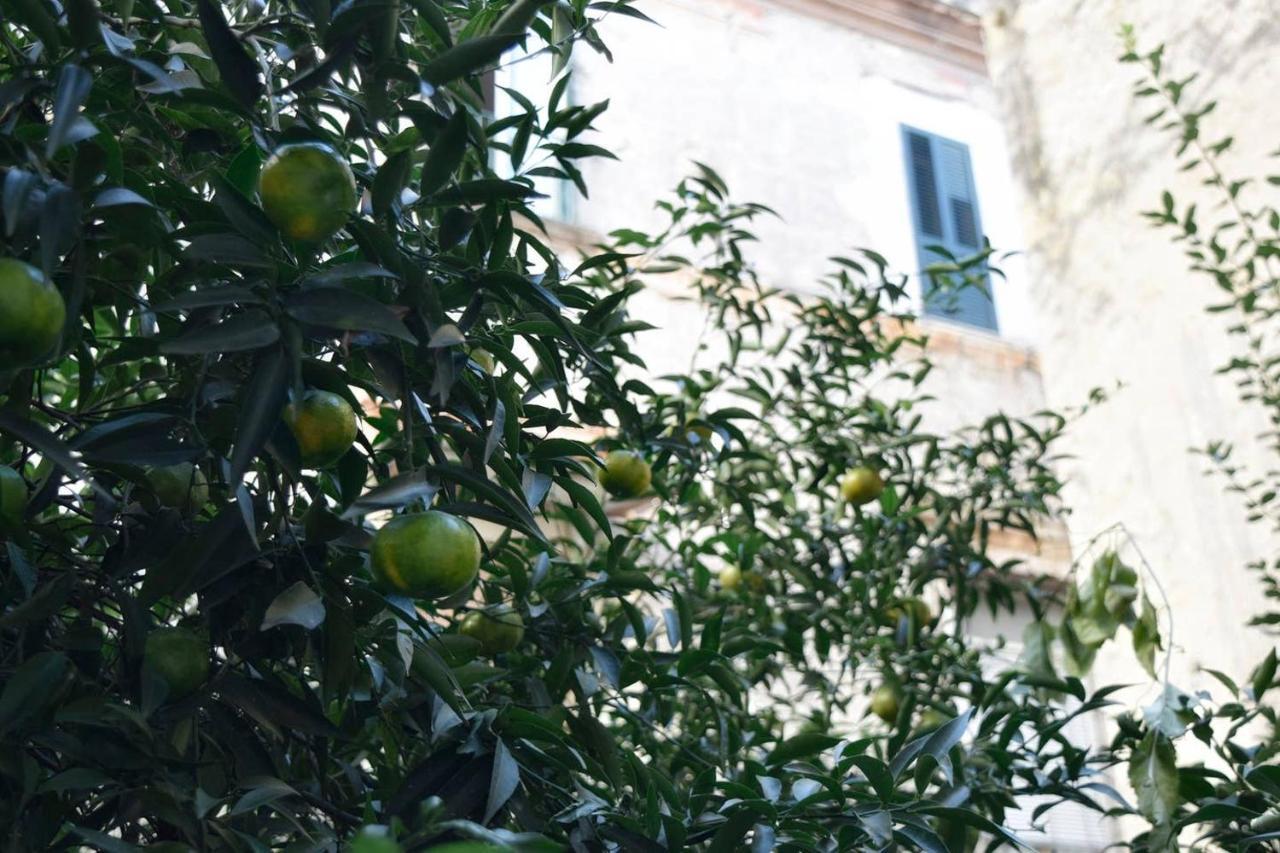 Giardino D'Atri Apartment Naples Luaran gambar